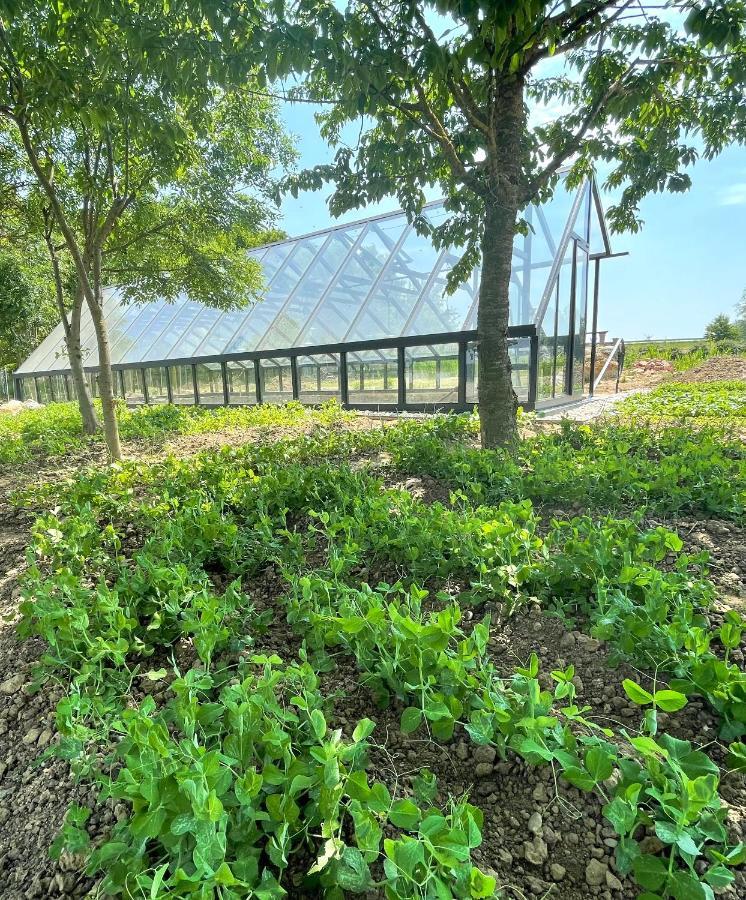 Istvan Parkhotel Es Gasztrofarm Sormas Ngoại thất bức ảnh