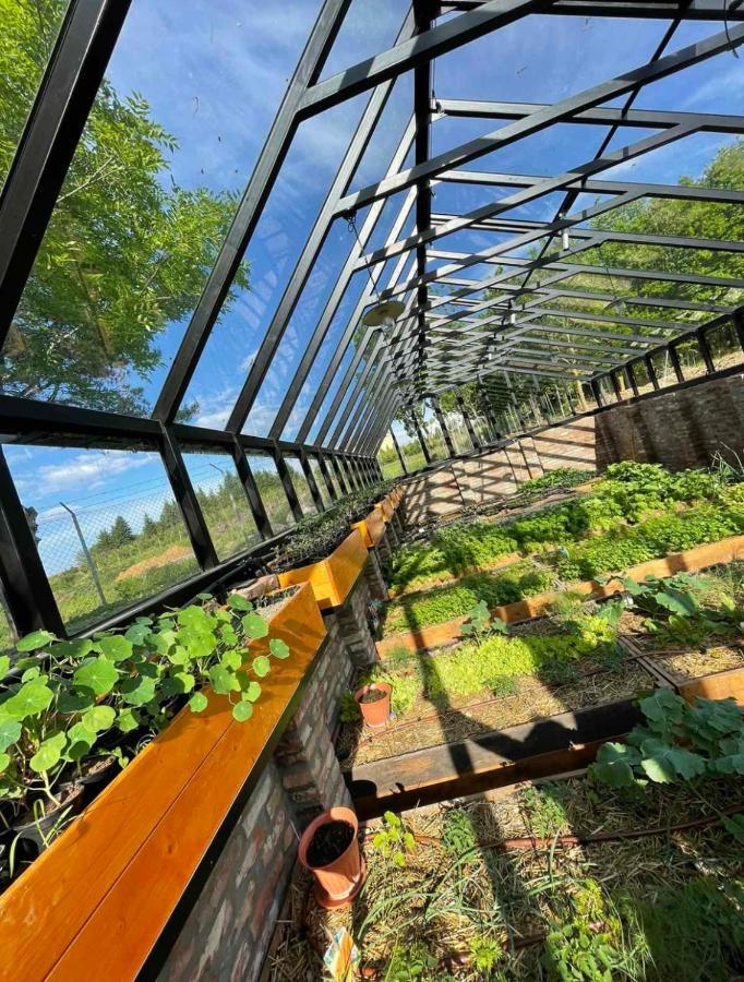 Istvan Parkhotel Es Gasztrofarm Sormas Ngoại thất bức ảnh